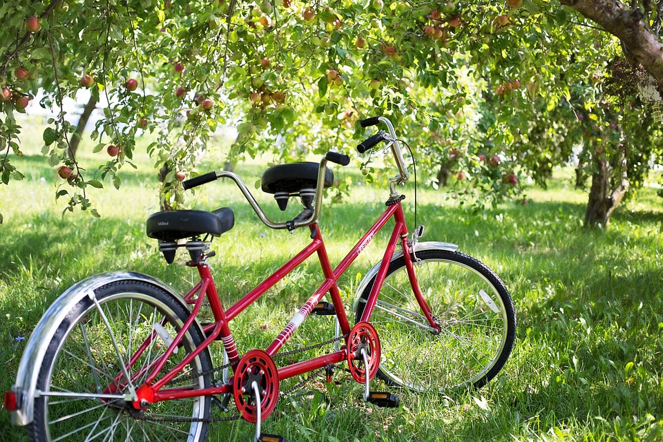 De voordelen van Fitness E-Bikes