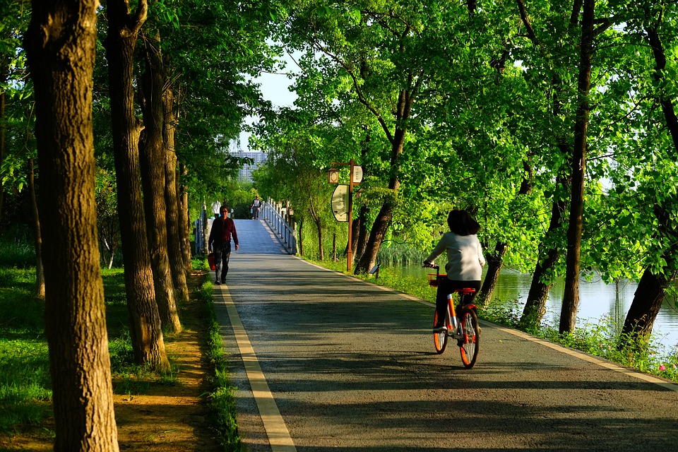 De voordelen van elektrische mountainbikes: Ontdek waarom ze zo populair zijn